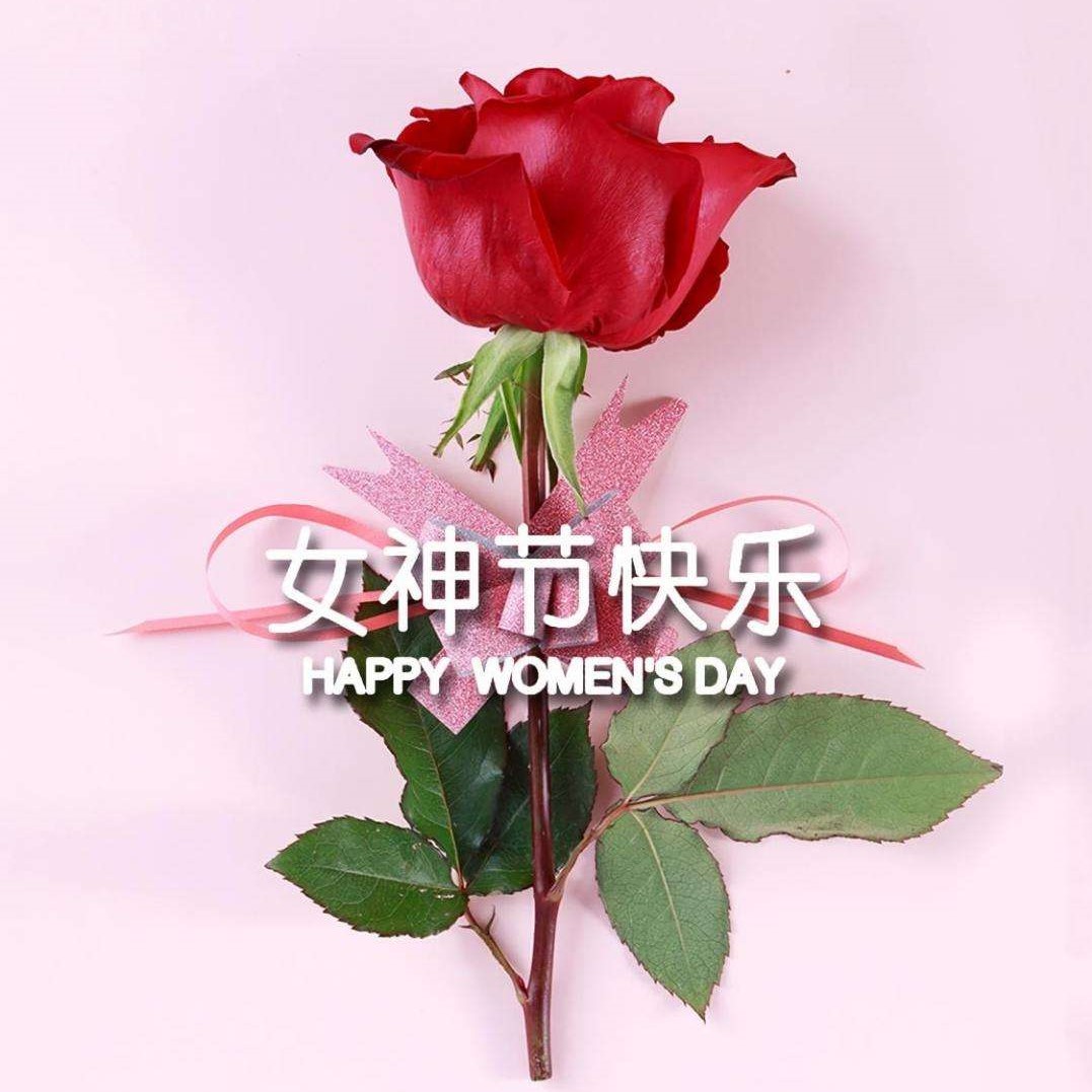 女神节特辑丨以医疗力量，筑女性健康